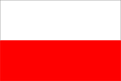 Liga polska – przegląd 8 kolejki